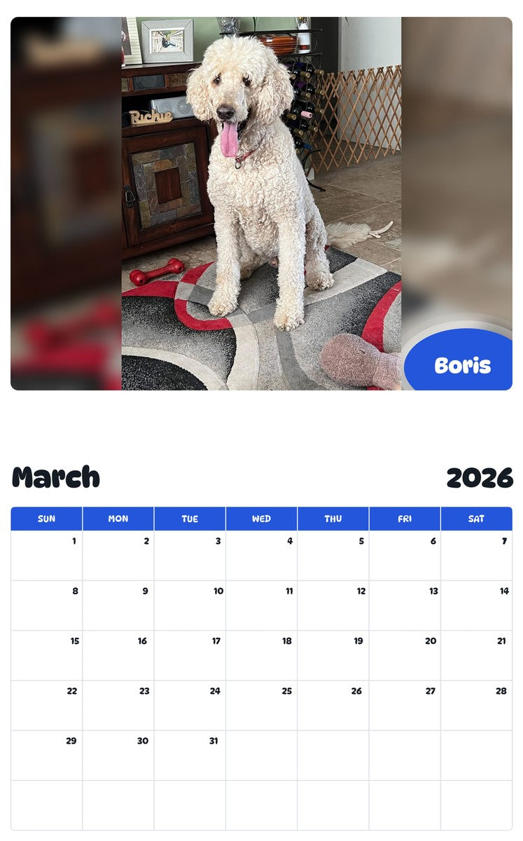 November 2025 - October 2026 Boris - Pawidols Pet Calendar