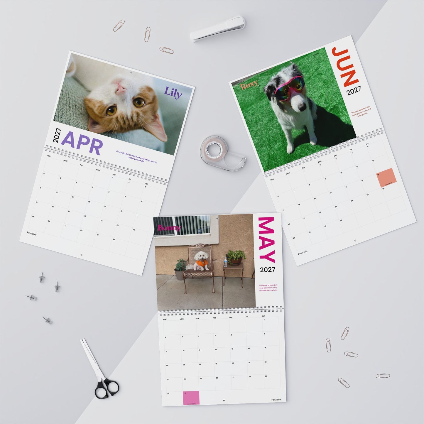 NEW Paw Calendar MIX October 2026 - September 2027