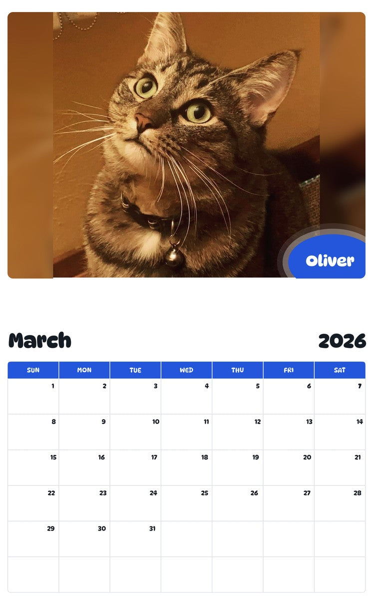 November 2025 - October 2026 Oliver - Pawidols Pet Calendar
