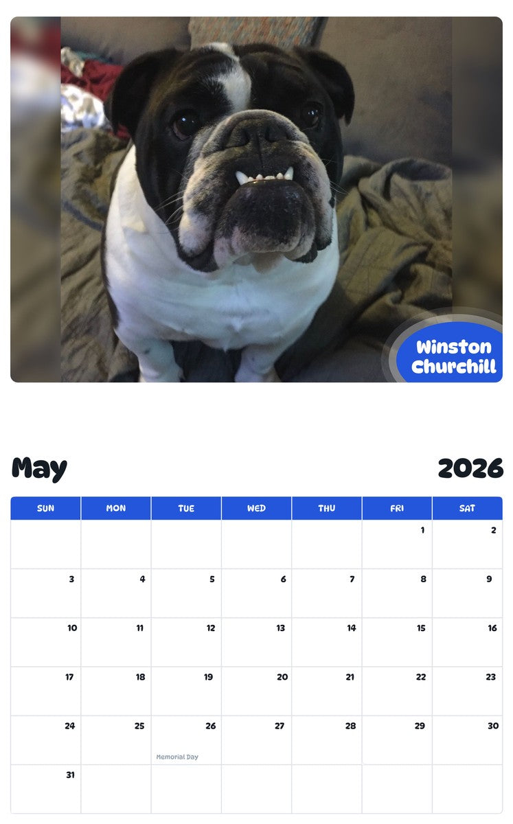 2026 - 2027 Winston Churchill - Pawidols Pet Calendar