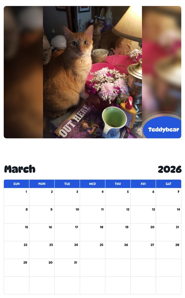 November 2025 - October 2026 Teddybear - Pawidols Pet Calendar