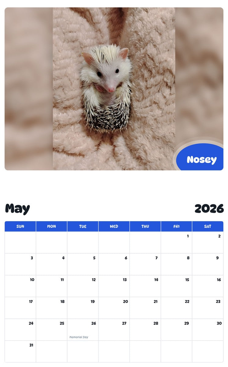 2026 - 2027 Nosey - Pawidols Pet Calendar