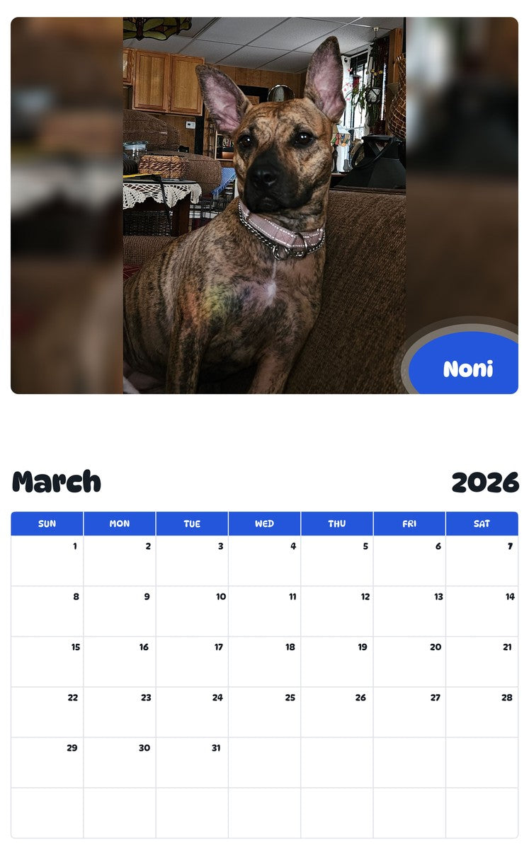 November 2025 - October 2026 Noni - Pawidols Pet Calendar
