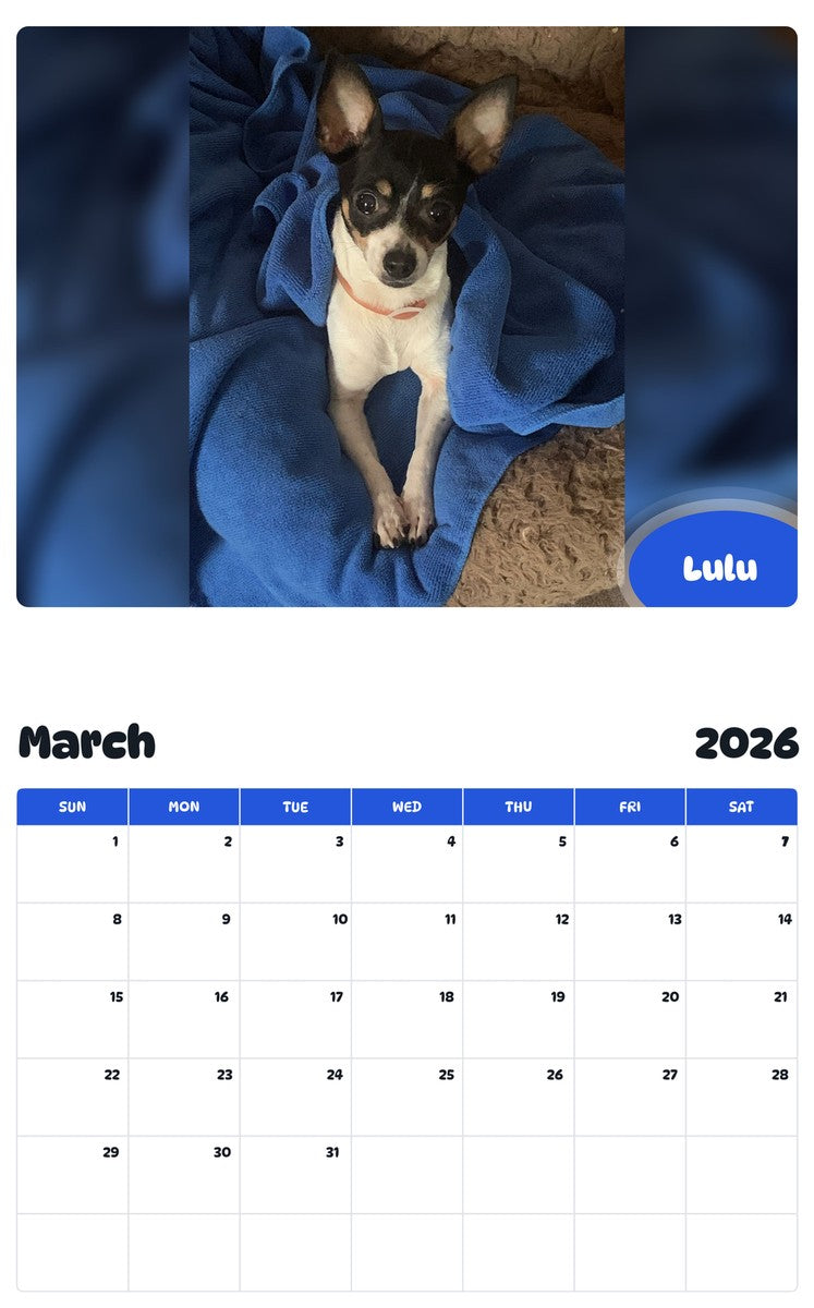 November 2025 - October 2026 Lulu - Pawidols Pet Calendar