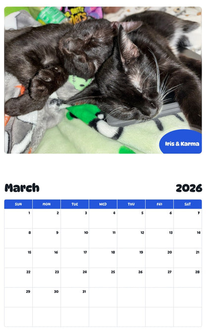 November 2025 - October 2026 Iris & Karma - Pawidols Pet Calendar