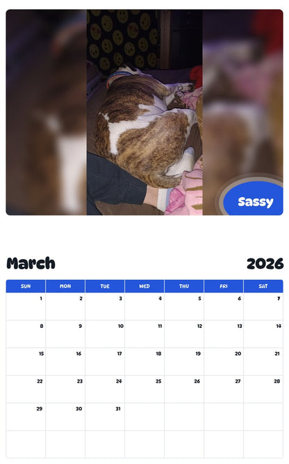 November 2025 - October 2026 Sassy - Pawidols Pet Calendar