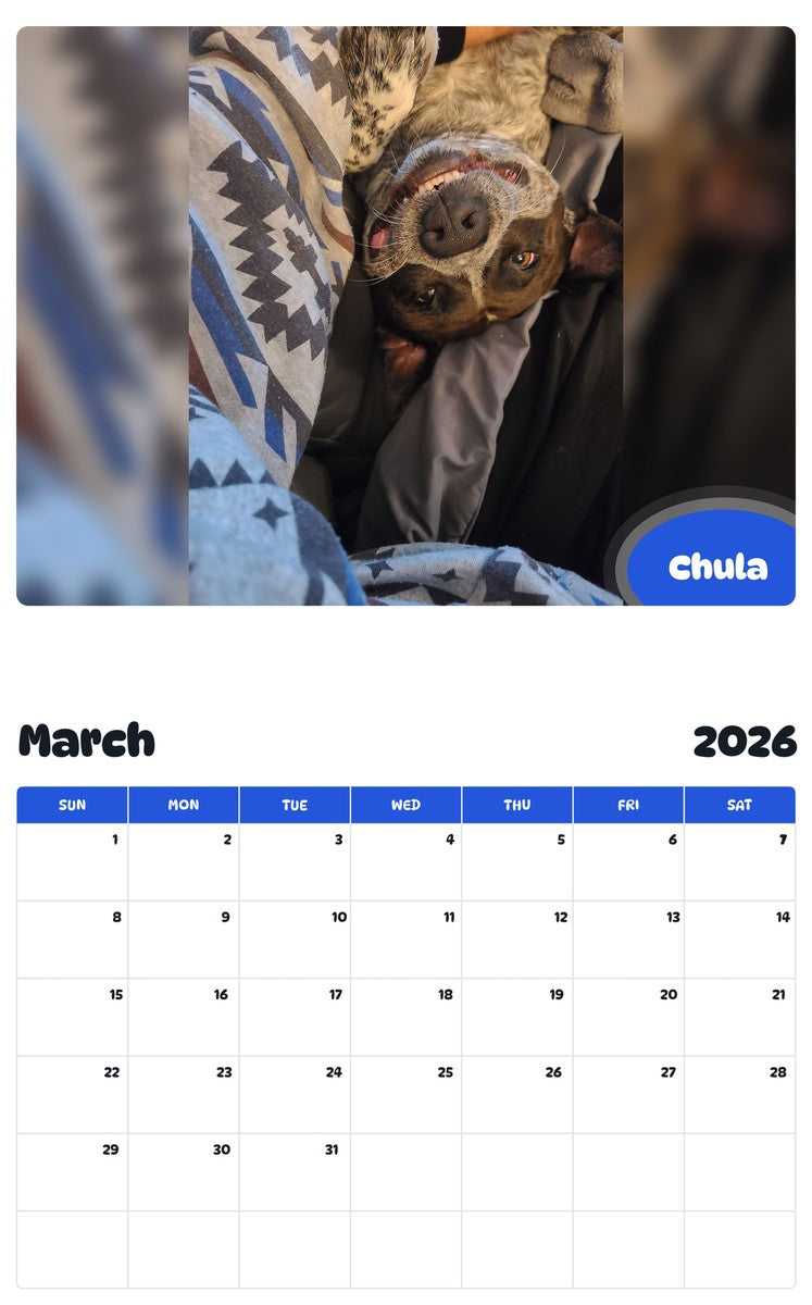 November 2025 - October 2026 Chula - Pawidols Pet Calendar