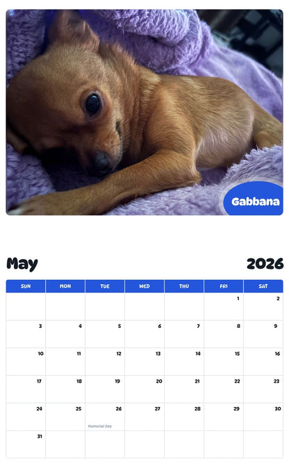 2026 - 2027 Gabbana - Pawidols Pet Calendar