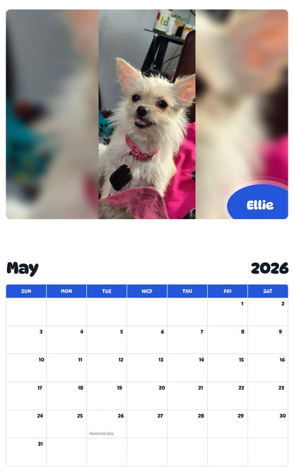 2026 - 2027 Ellie - Pawidols Pet Calendar
