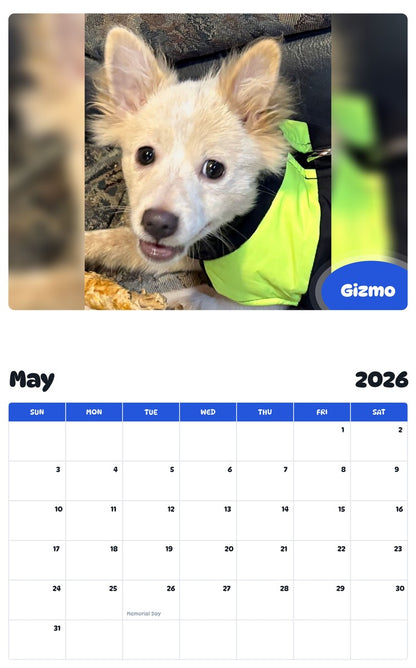 2026 - 2027 Gizmo - Pawidols Pet Calendar