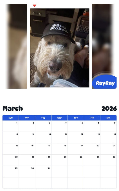 November 2025 - October 2026 RayRay - Pawidols Pet Calendar