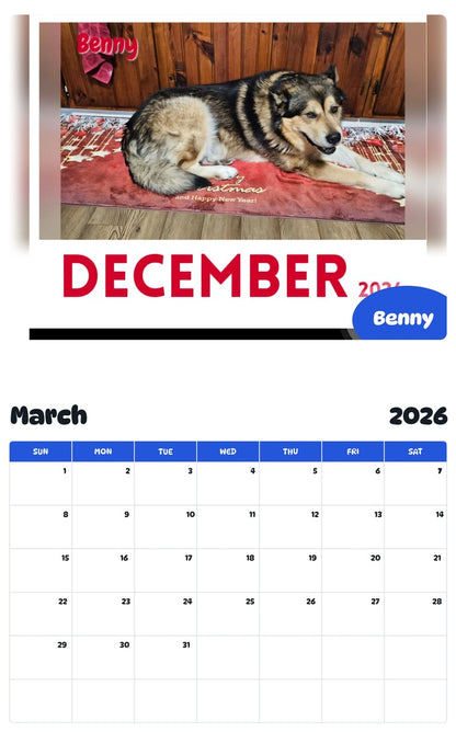 November 2025 - October 2026 Benny - Pawidols Pet Calendar