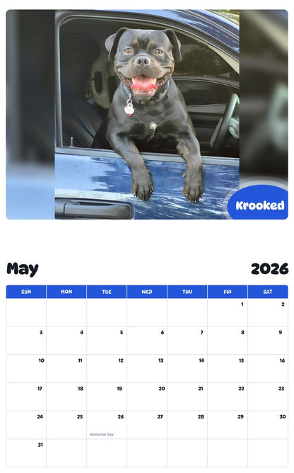 2026 - 2027 Krooked - Pawidols Pet Calendar