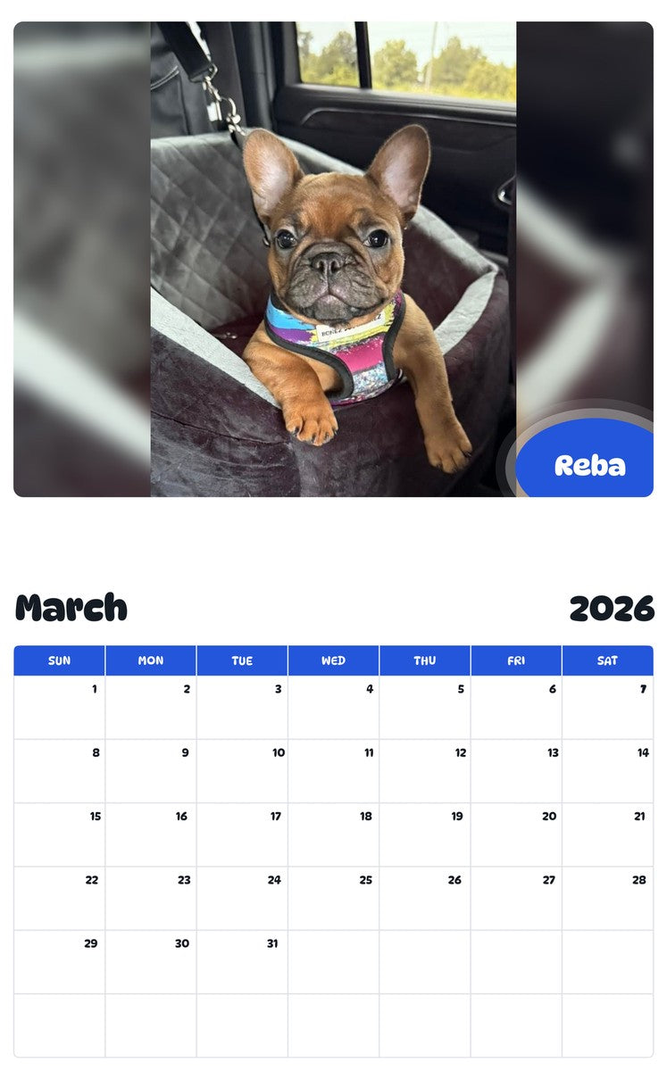 November 2025 - October 2026 Reba - Pawidols Pet Calendar