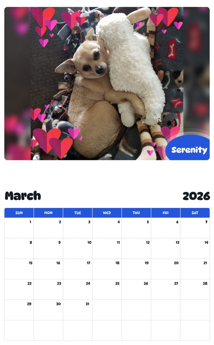 November 2025 - October 2026 Serenity - Pawidols Pet Calendar