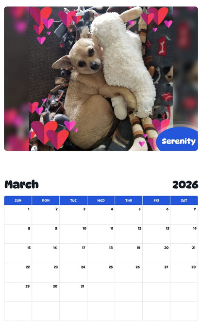 November 2025 - October 2026 Serenity - Pawidols Pet Calendar
