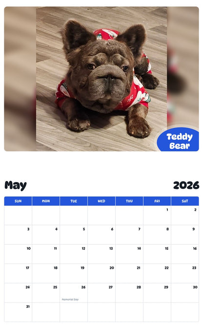 2026 - 2027 Teddy Bear - Pawidols Pet Calendar