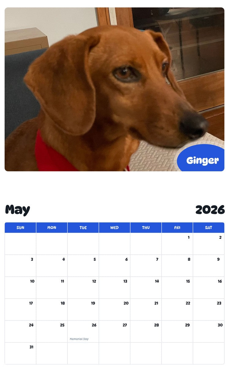 2026 - 2027 Ginger - Pawidols Pet Calendar