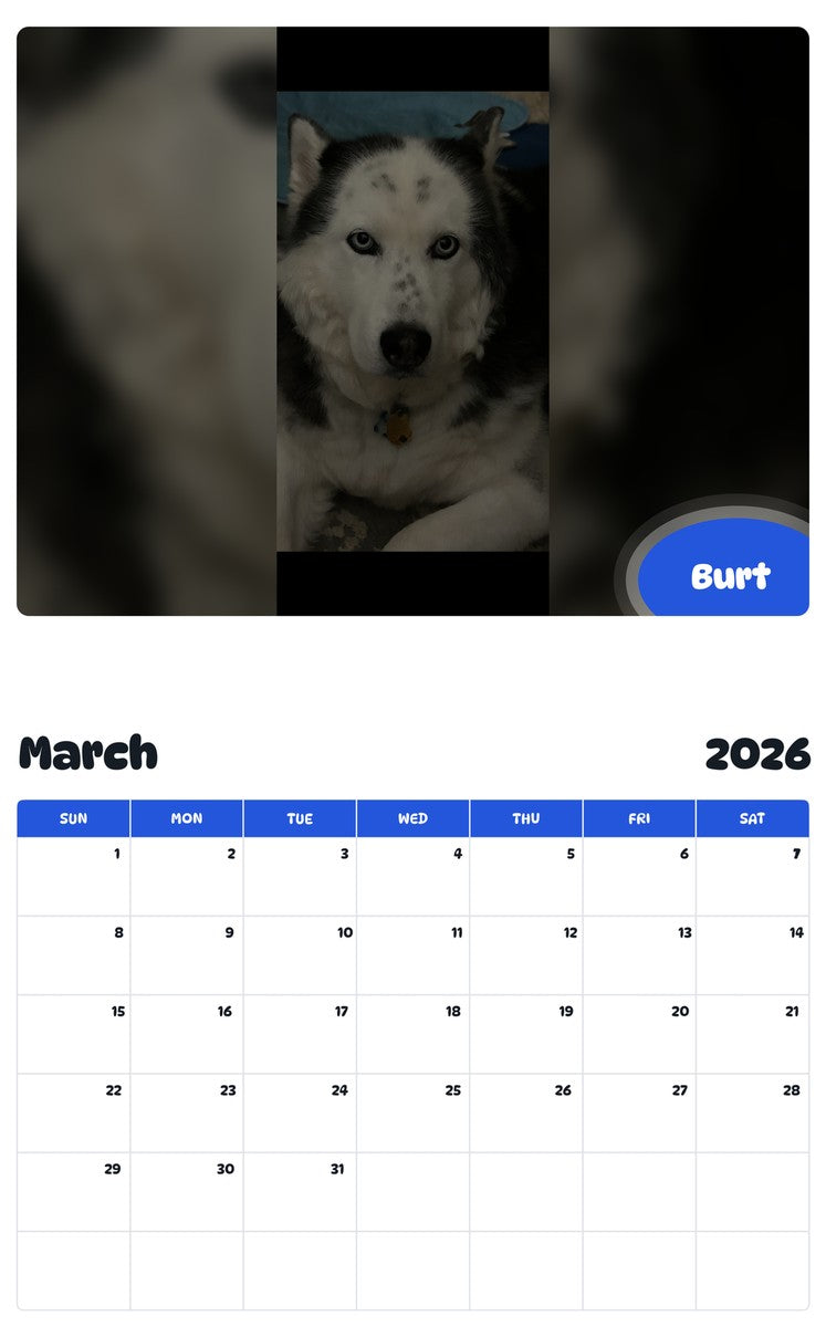 November 2025 - October 2026 Burt - Pawidols Pet Calendar