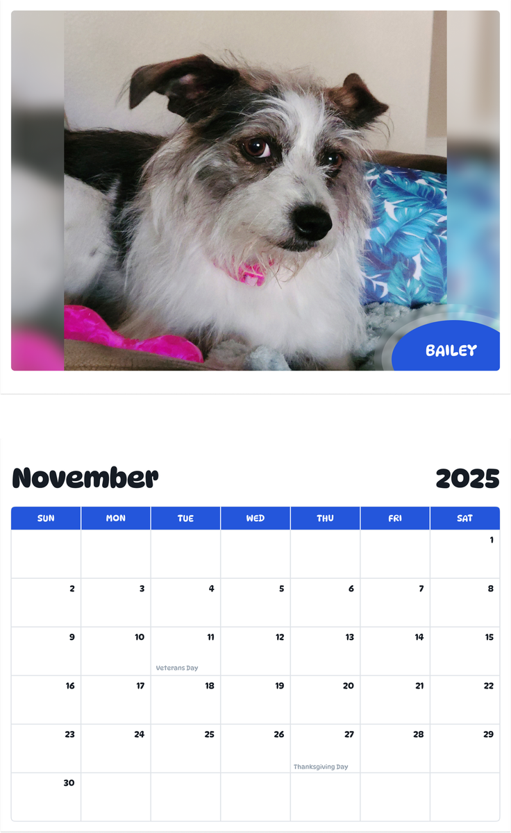 July 2025 - June 2026 Bailey - Pawidols Pet Calendar