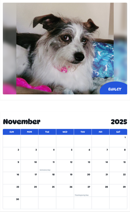 July 2025 - June 2026 Bailey - Pawidols Pet Calendar