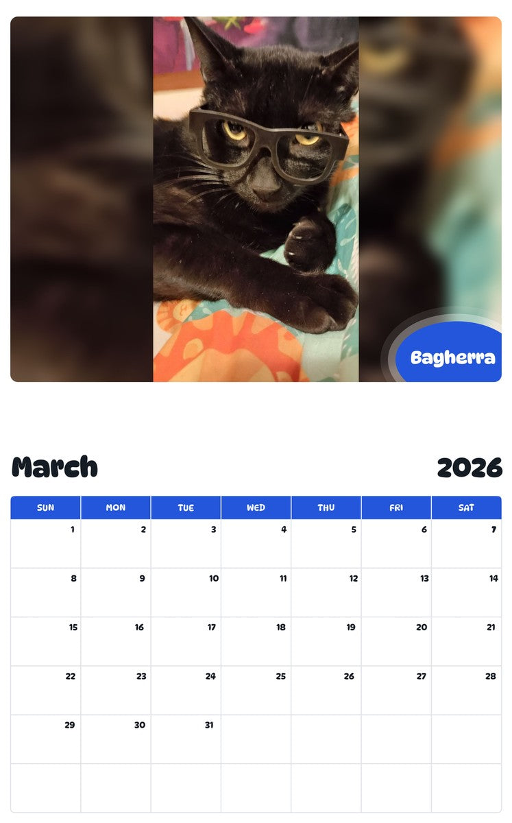 November 2025 - October 2026 Bagherra - Pawidols Pet Calendar