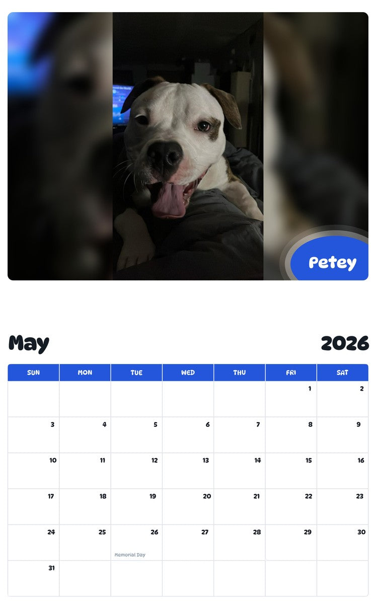2026 - 2027 Petey - Pawidols Pet Calendar