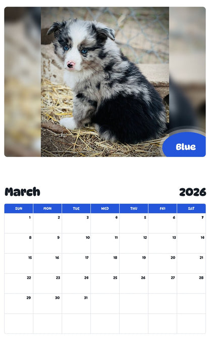 November 2025 - October 2026 Blue - Pawidols Pet Calendar