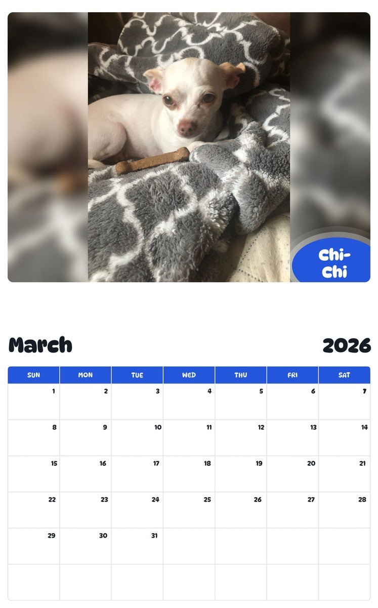 November 2025 - October 2026 Chi-Chi - Pawidols Pet Calendar