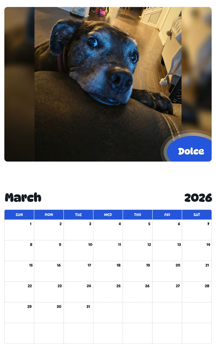November 2025 - October 2026 Dolce - Pawidols Pet Calendar