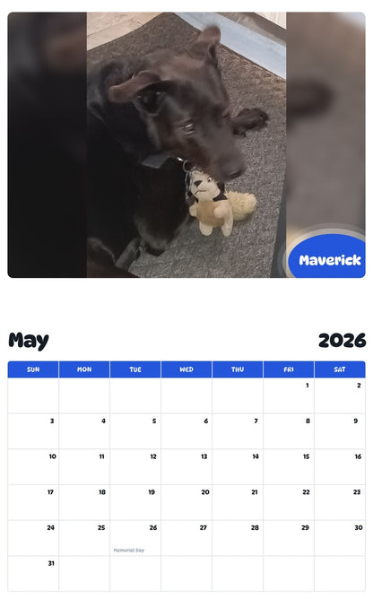 2026 - 2027 Maverick - Pawidols Pet Calendar