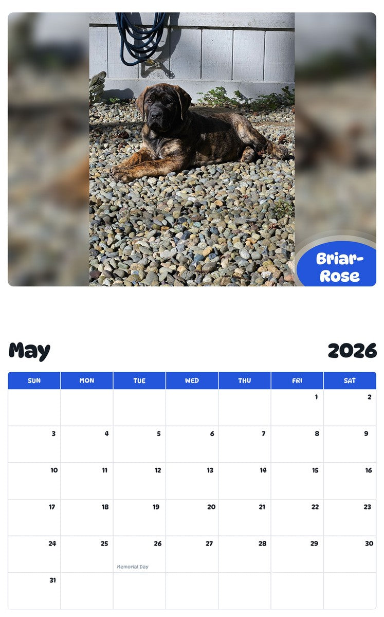 2026 - 2027 Briar-Rose - Pawidols Pet Calendar