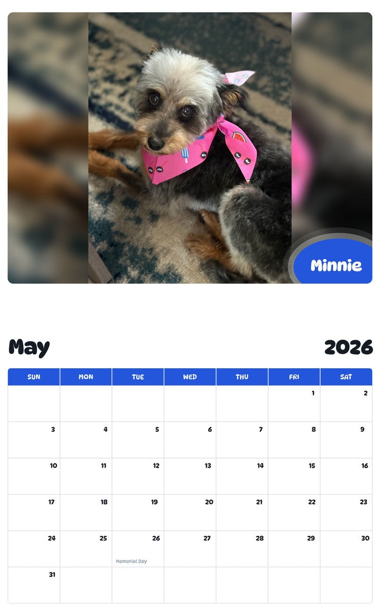 2026 - 2027 Minnie - Pawidols Pet Calendar