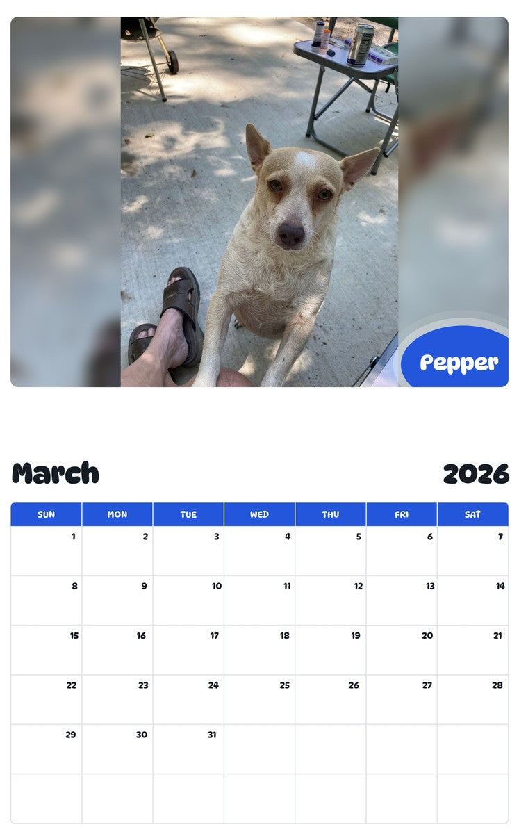 November 2025 - October 2026 Pepper - Pawidols Pet Calendar