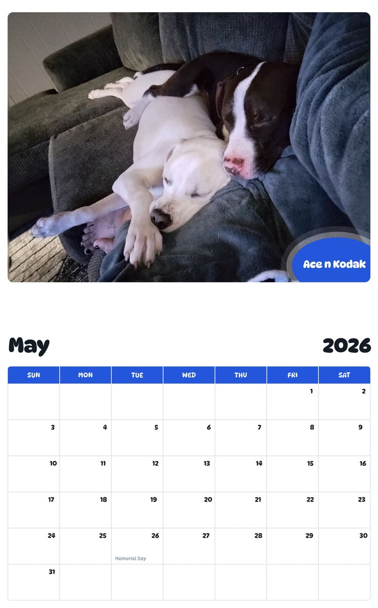 2026 - 2027 Ace n Kodak - Pawidols Pet Calendar