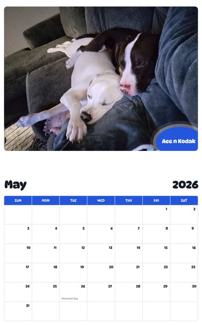 2026 - 2027 Ace n Kodak - Pawidols Pet Calendar