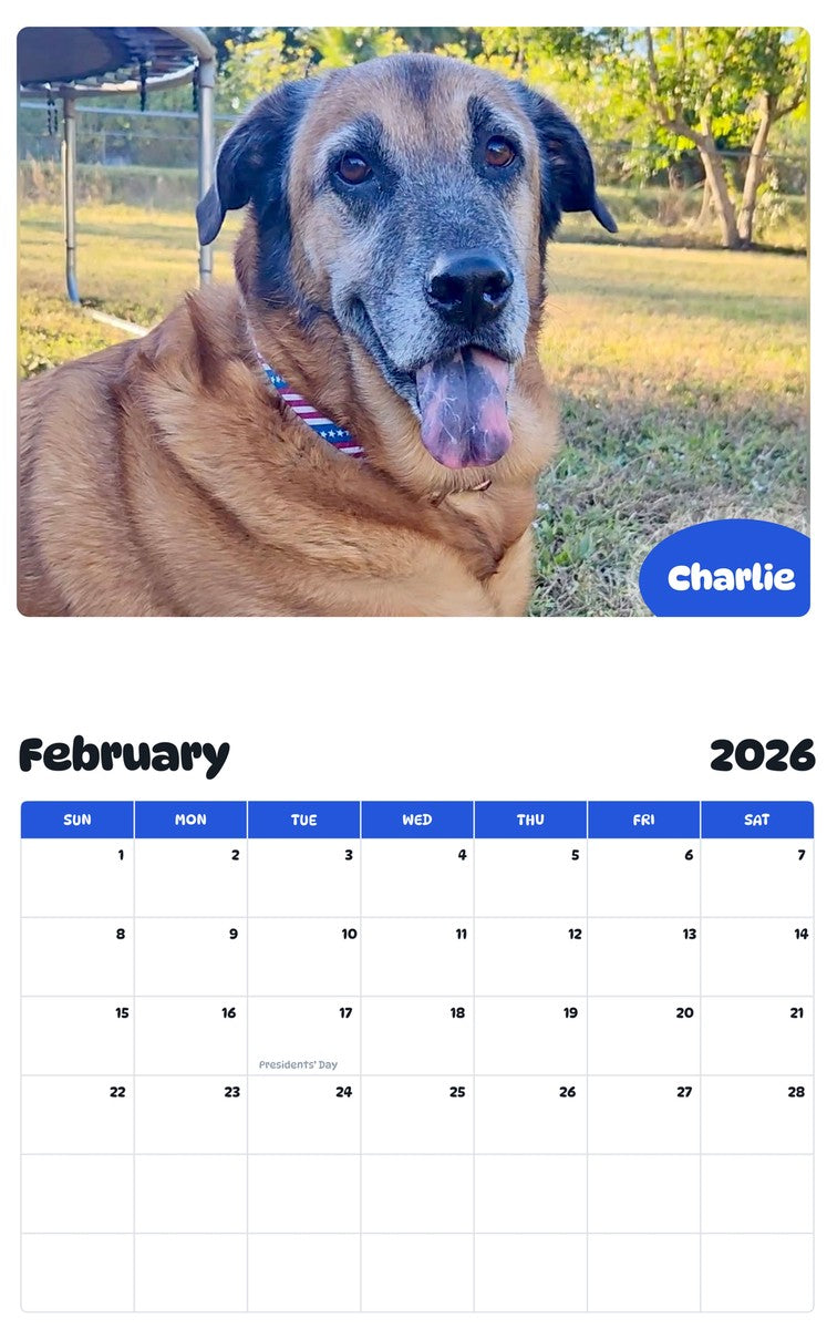 November 2025 - October 2026 Charlie - Pawidols Pet Calendar