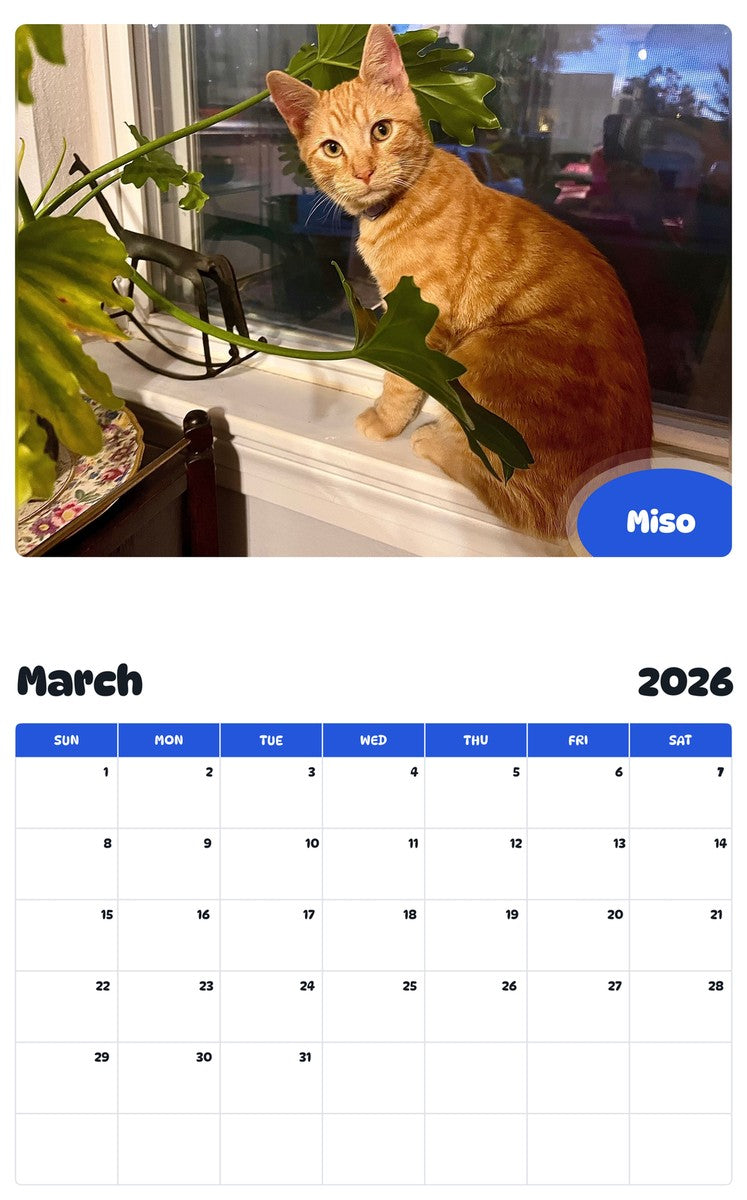 November 2025 - October 2026 Miso - Pawidols Pet Calendar