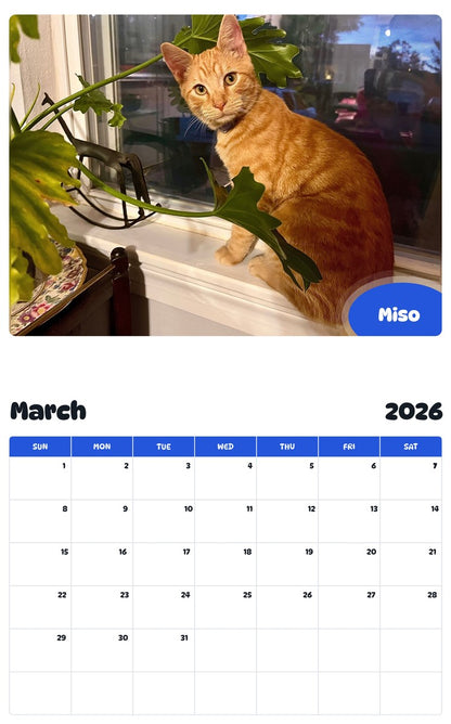 November 2025 - October 2026 Miso - Pawidols Pet Calendar