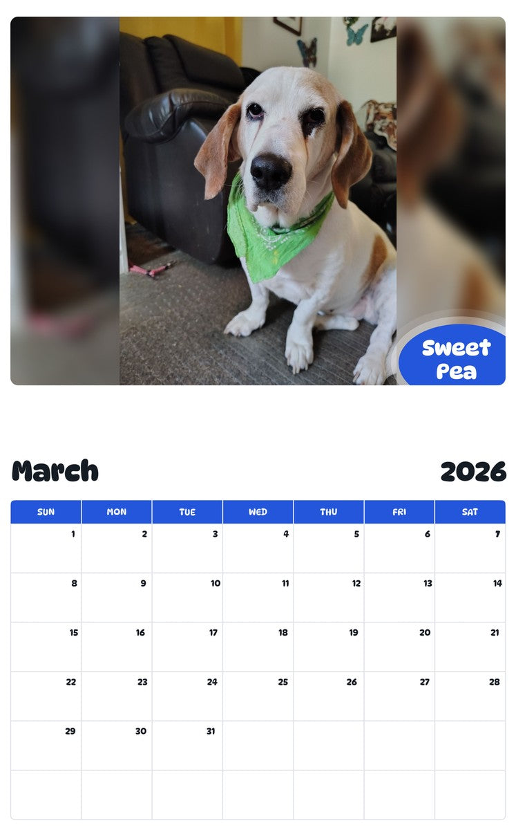 November 2025 - October 2026 Sweet Pea - Pawidols Pet Calendar