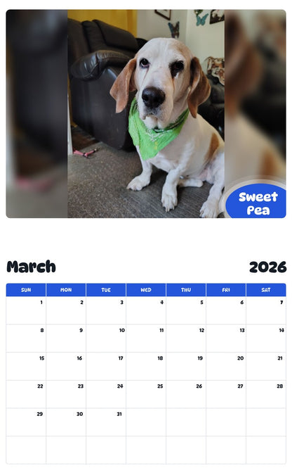 November 2025 - October 2026 Sweet Pea - Pawidols Pet Calendar