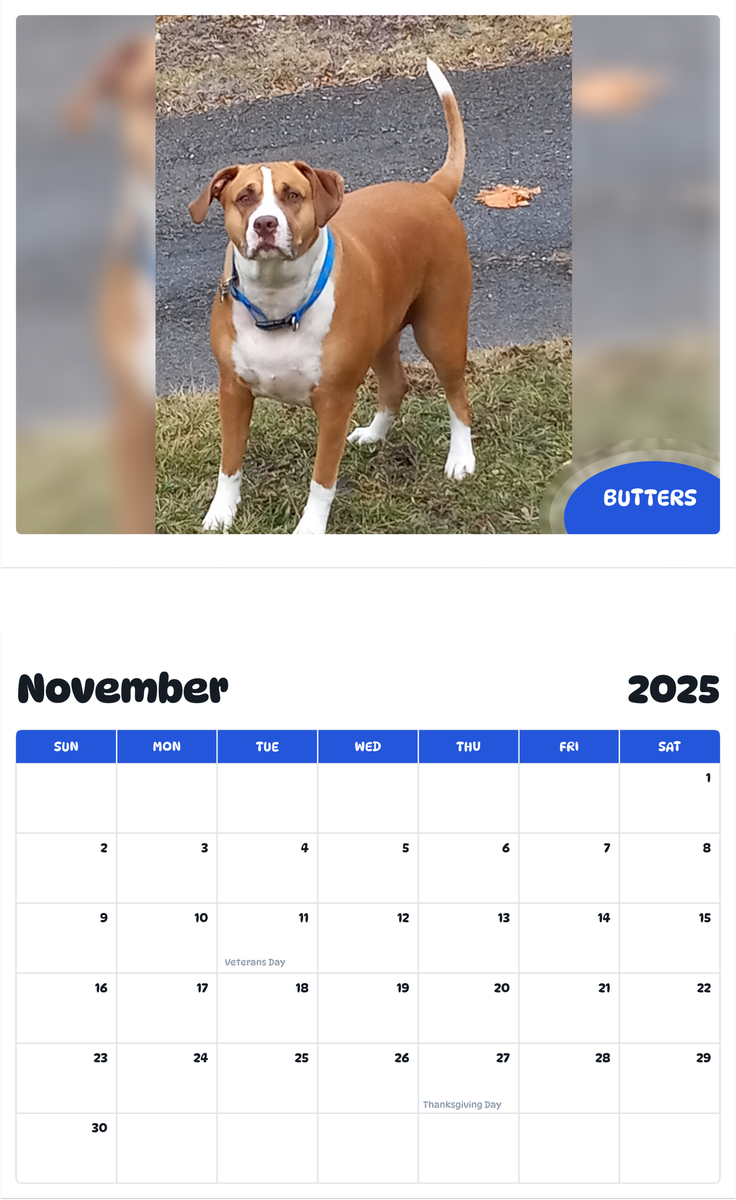 July 2025 - June 2026 Butters - Pawidols Pet Calendar