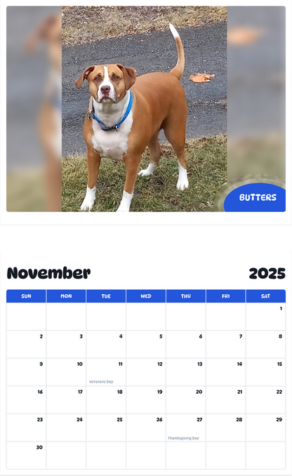 July 2025 - June 2026 Butters - Pawidols Pet Calendar