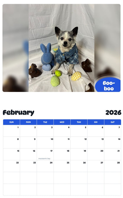 October 2025 - September 2026 Boo-boo - Pawidols Pet Calendar