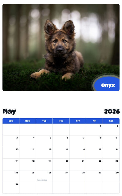 2026 - 2027 Onyx - Pawidols Pet Calendar