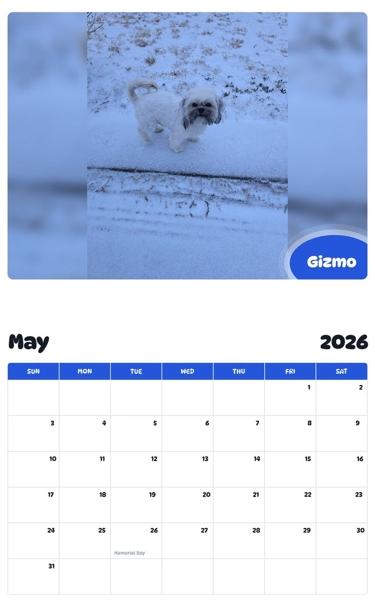 2026 - 2027 Gizmo - Pawidols Pet Calendar