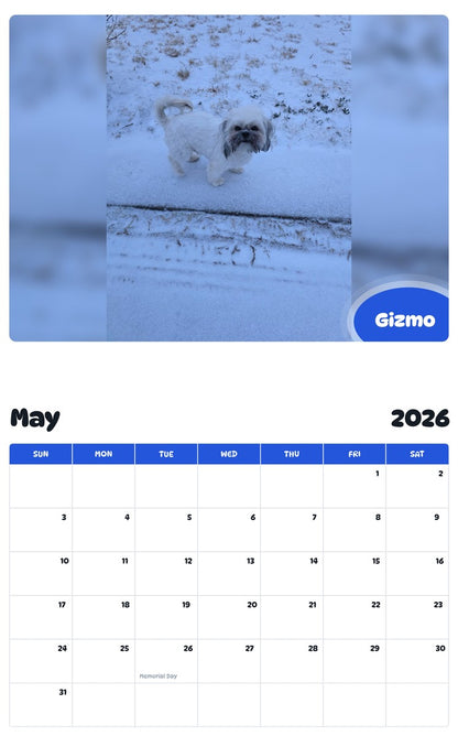 2026 - 2027 Gizmo - Pawidols Pet Calendar