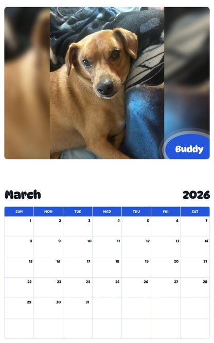 November 2025 - October 2026 Buddy - Pawidols Pet Calendar