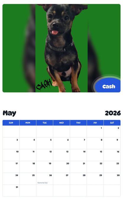 2026 - 2027 Cash - Pawidols Pet Calendar