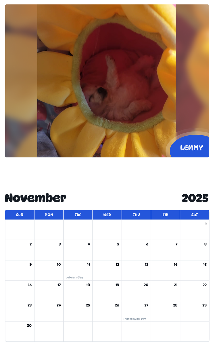 July 2025 - June 2026 Lemmy - Pawidols Pet Calendar